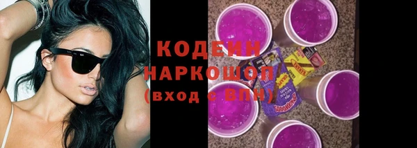 хмурый Елизово