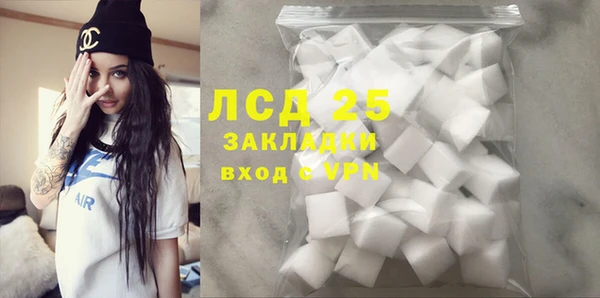 меф Ельня
