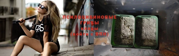 спиды Заводоуковск
