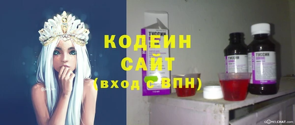 меф Ельня