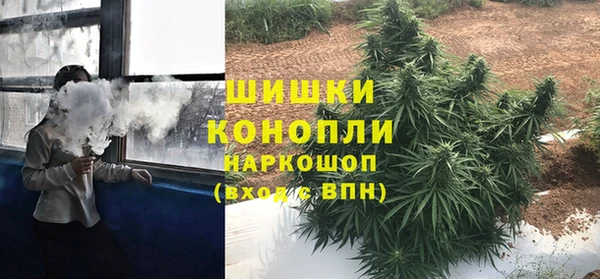 хмурый Елизово