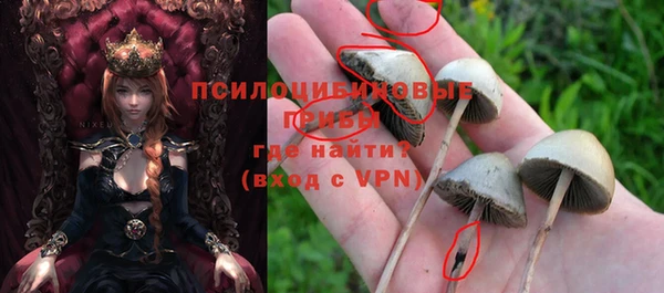 хмурый Елизово