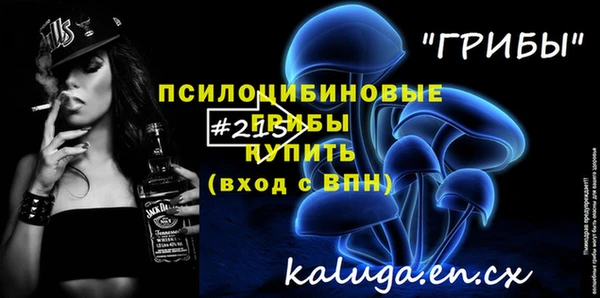 хмурый Елизово